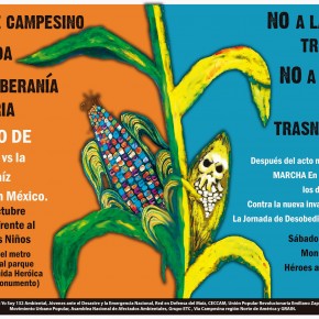 Protesta contra la siembra comercial del maíz transgénico