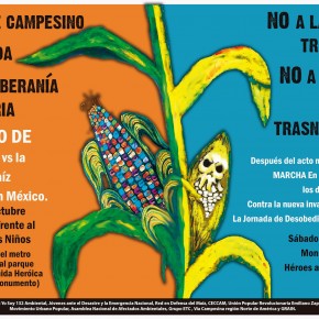 Firma la Carta contra los Transgénicos